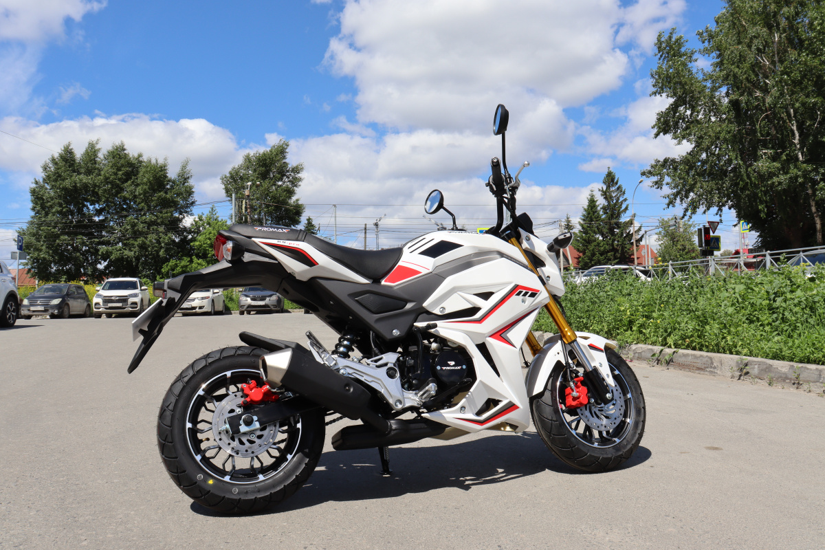 Мотоцикл PROMAX STRYKER 200(49) 2.0 в Находке