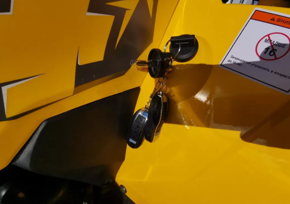 Квадроцикл MOTOLAND (МОТОЛЕНД) VOX200 WILD TRACK X PRO (баланс. вал) в Находке