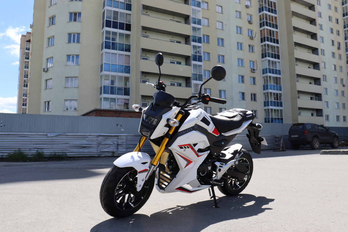 Мотоцикл PROMAX STRYKER 200(49) 2.0 в Находке