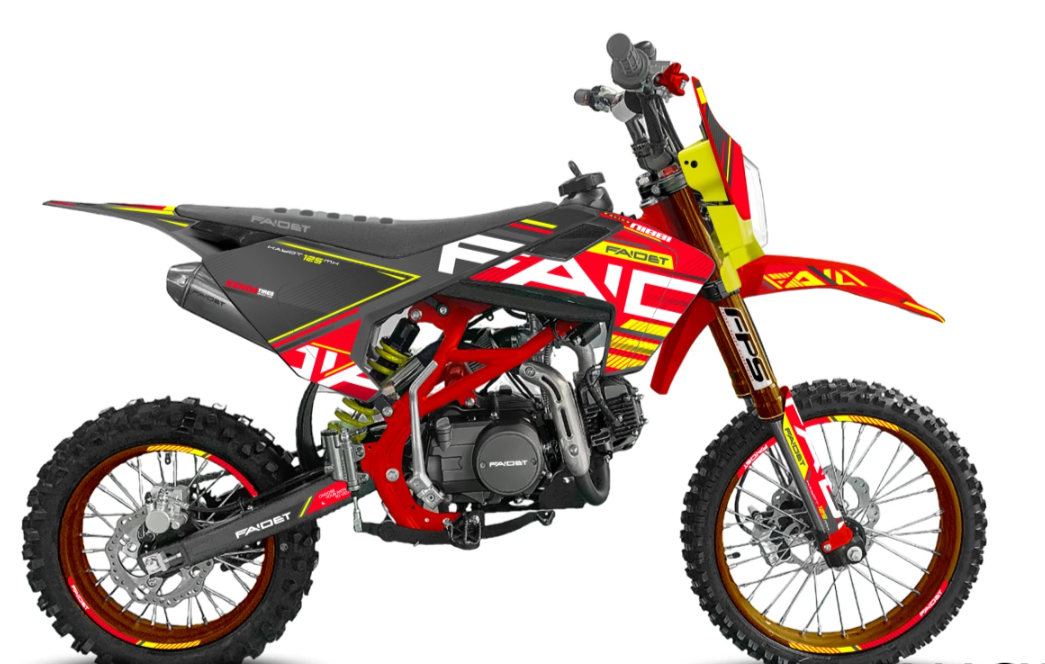 Питбайк FAIDET KAYOT 150E-PRO 19/16 в Находке