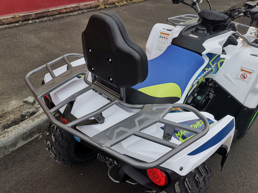 Квадроцикл PROMAX RENEGADE 280 LUX (2025) в Находке
