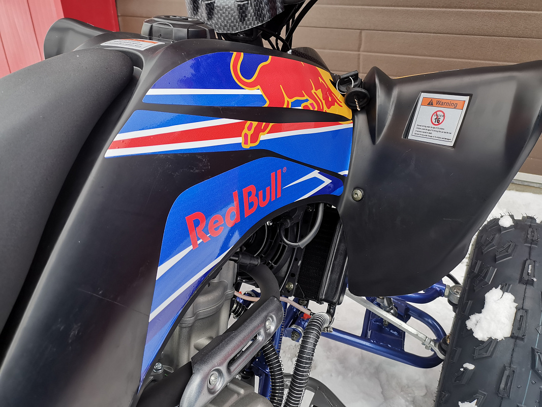 Квадроцикл PROMAX RAPTOR 300 NEW RedBull в Находке
