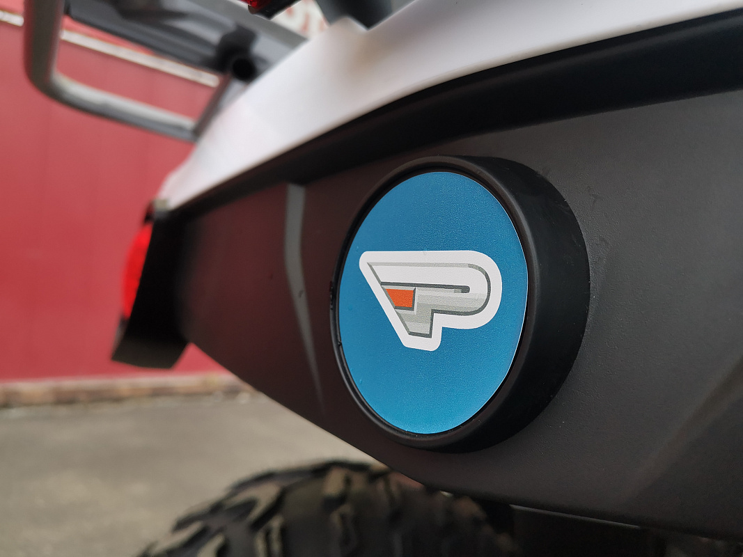 Квадроцикл PROMAX RENEGADE 280 LUX (2025) в Находке