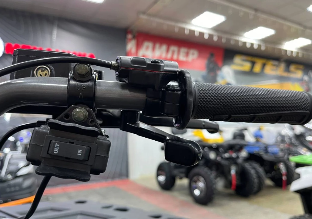 Квадроцикл PROMAX RENEGADE 300 LONG WINCH PRO (2025) в Находке