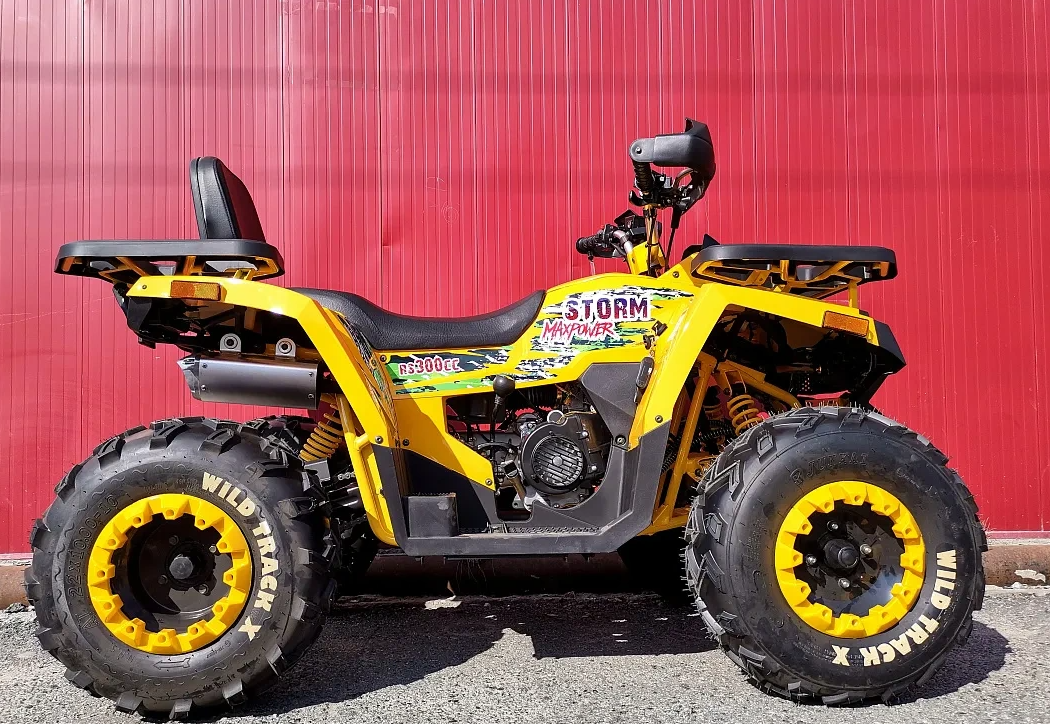 Квадроцикл PROMAX STORM 280 LUX в Находке