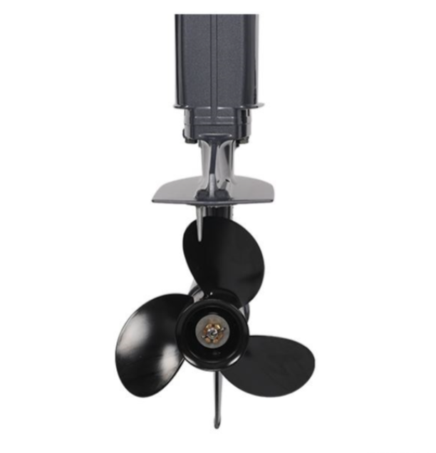 Лодочный мотор ALLFA CG Т40FW S в Находке