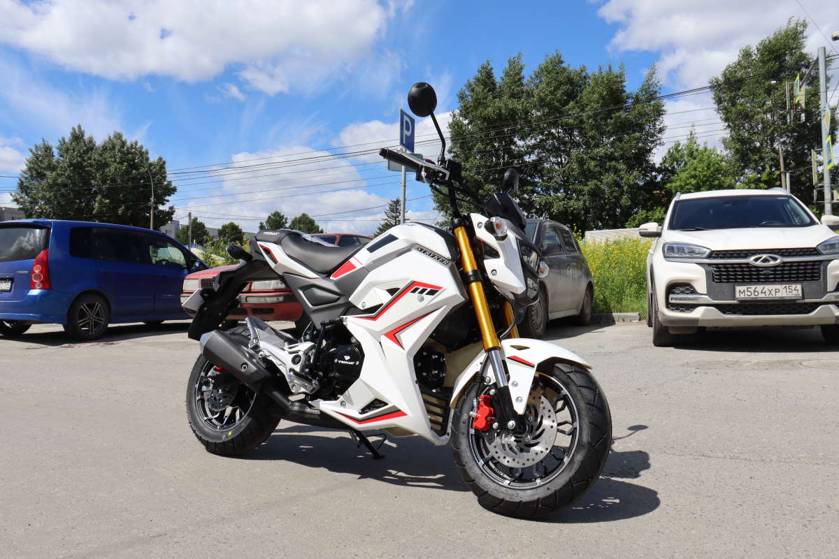 Мотоцикл PROMAX STRYKER 200(49) 2.0 в Находке