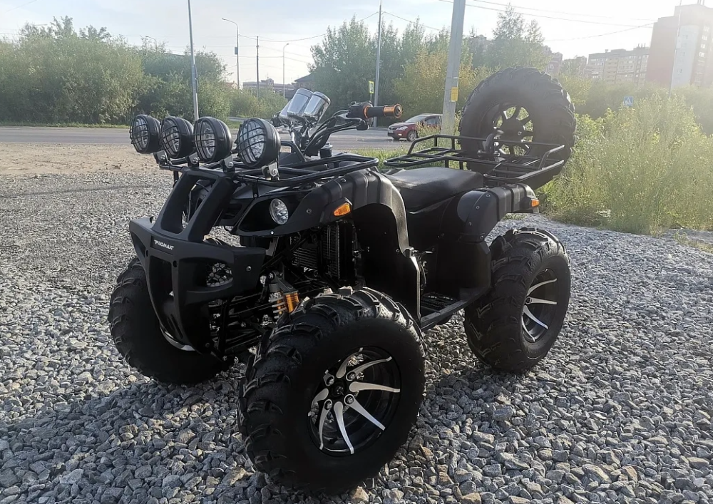 Квадроцикл PROMAX LEO 300 Max (кардан) в Находке