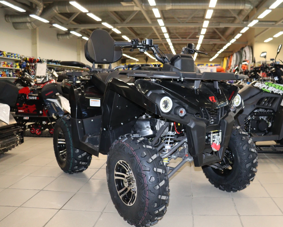 Квадроцикл PROMAX RENEGADE 300 LONG WINCH PRO (2025) в Находке