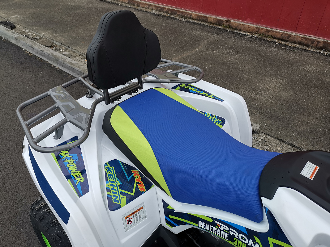 Квадроцикл PROMAX RENEGADE 280 LUX (2025) в Находке