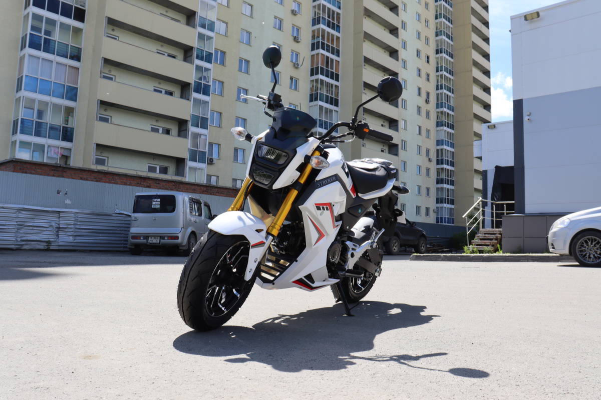 Мотоцикл PROMAX STRYKER 200(49) 2.0 в Находке