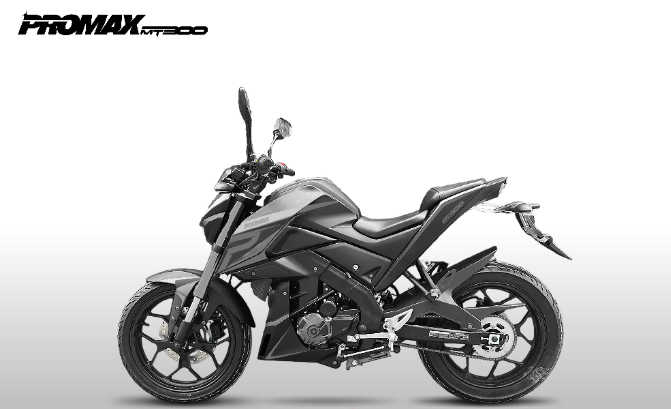 Мотоцикл PROMAX MT300 в Находке