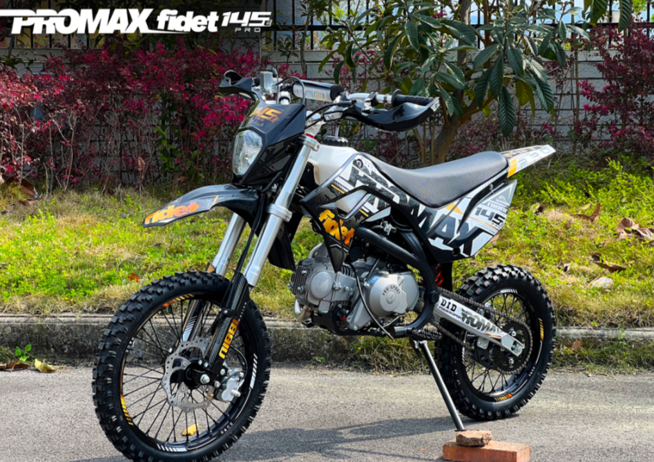 Мотоцикл (питбайк) PROMAX FIDET (ФАЙДЕТ) 145E PRO 17/14 в Находке