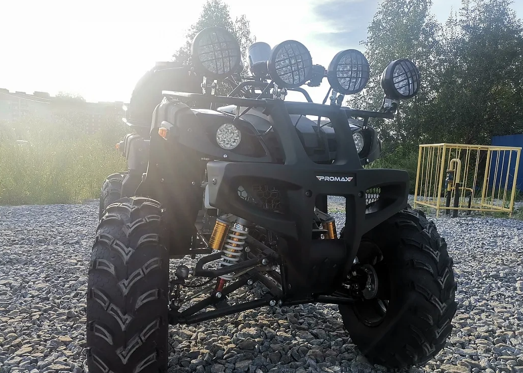 Квадроцикл PROMAX LEO 300 Max (кардан) в Находке