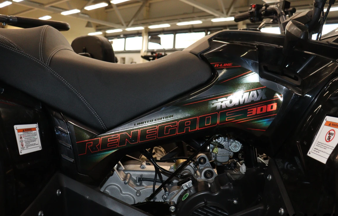 Квадроцикл PROMAX RENEGADE 300 LONG WINCH PRO (2025) в Находке