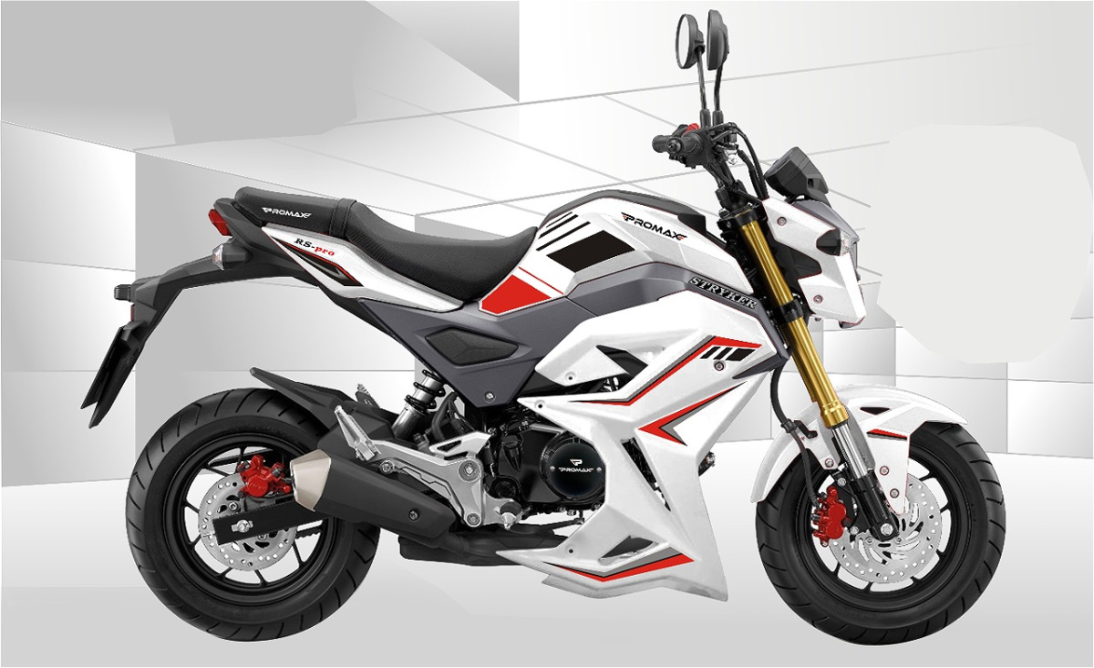 Мотоцикл PROMAX STRYKER 200(49) 2.0 в Находке