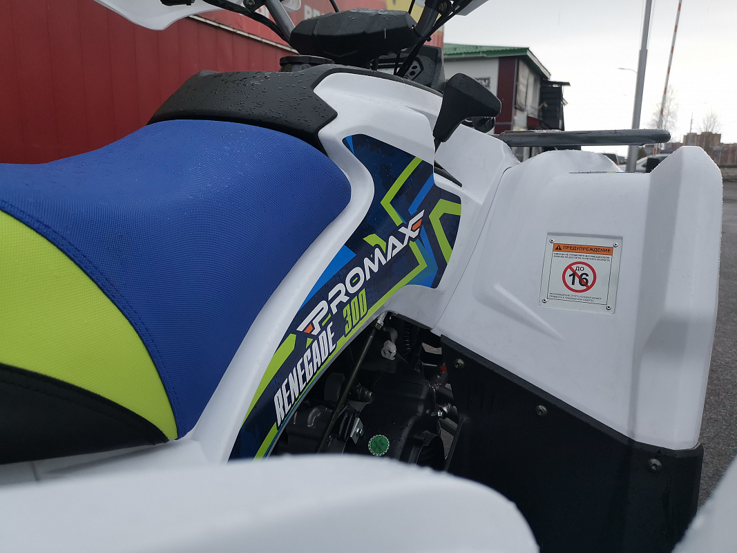 Квадроцикл PROMAX RENEGADE 280 LUX (2025) в Находке