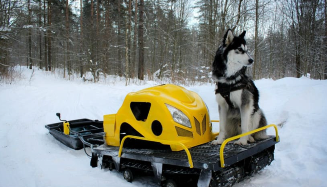 Мотобуксировщик LEBEDEV MOTORS ВОЛКОДАВ POWER V13 в Находке
