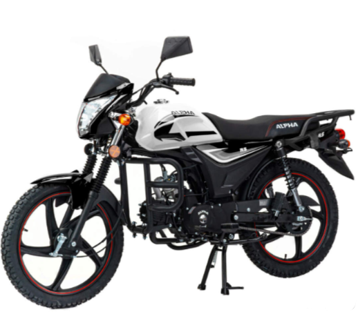 Мопед MOTOLAND (МОТОЛЕНД) Альфа RS 11 (LM48-B) в Находке