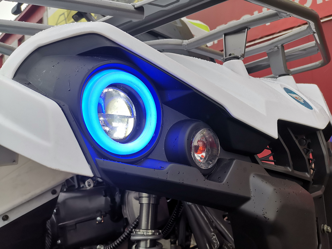 Квадроцикл PROMAX RENEGADE 280 LUX (2025) в Находке