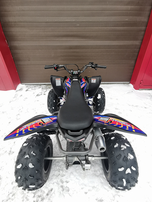Квадроцикл PROMAX RAPTOR 300 NEW RedBull в Находке