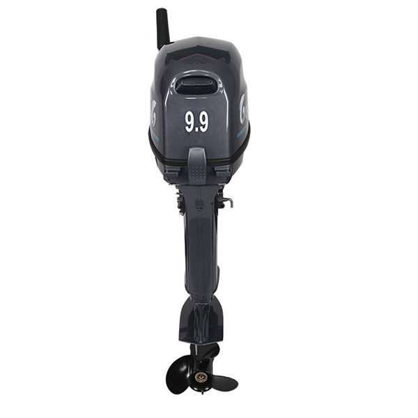 Лодочный мотор ALLFA CG Т9.9(20)MAX в Находке