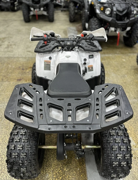 Квадроцикл PROMAX WILD 2.0 190 в Находке