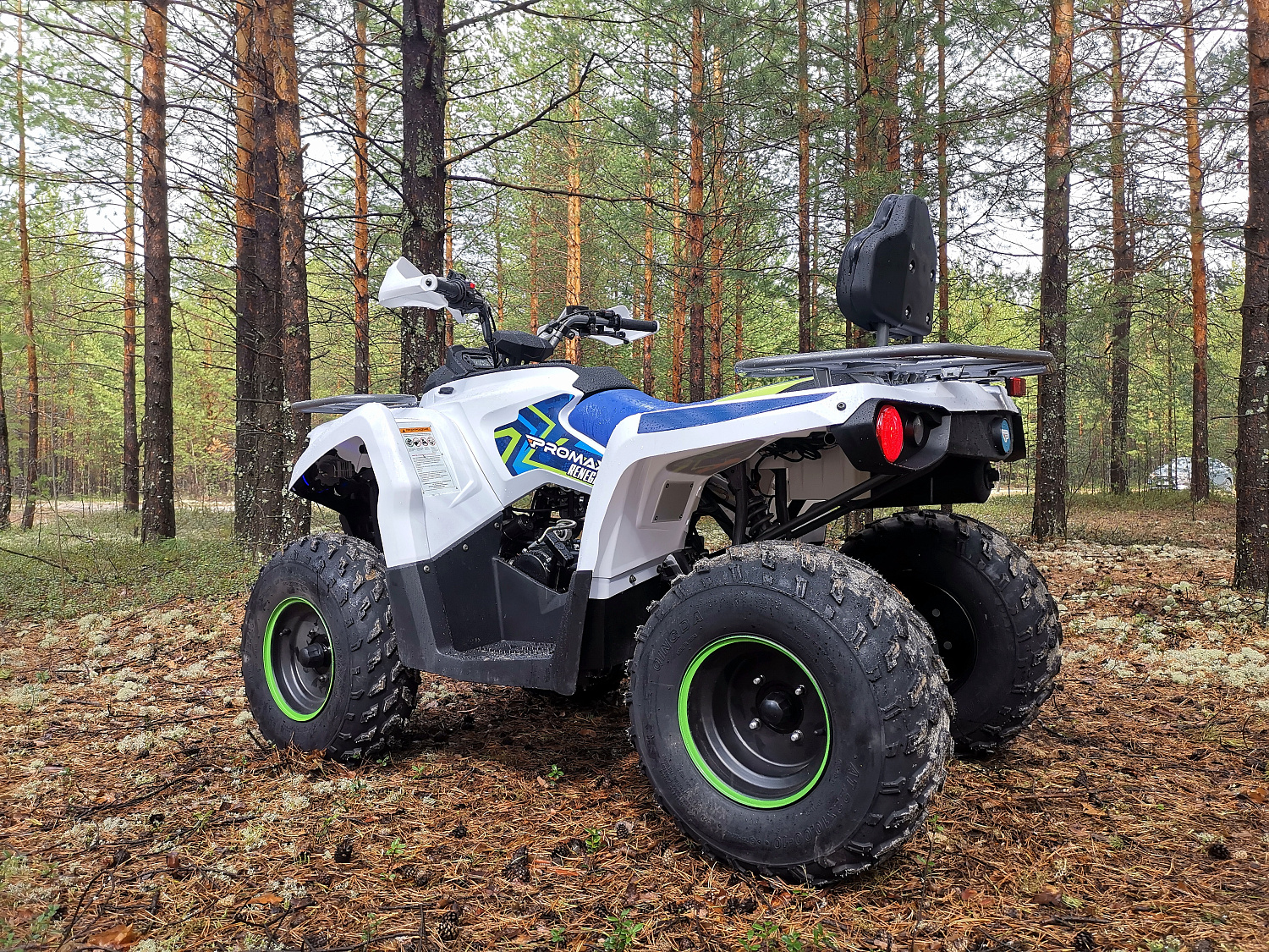Квадроцикл PROMAX RENEGADE 280 (2025) в Находке