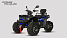 Квадроцикл PROMAX TAURUS 300 MAX-PRO LONG в Находке