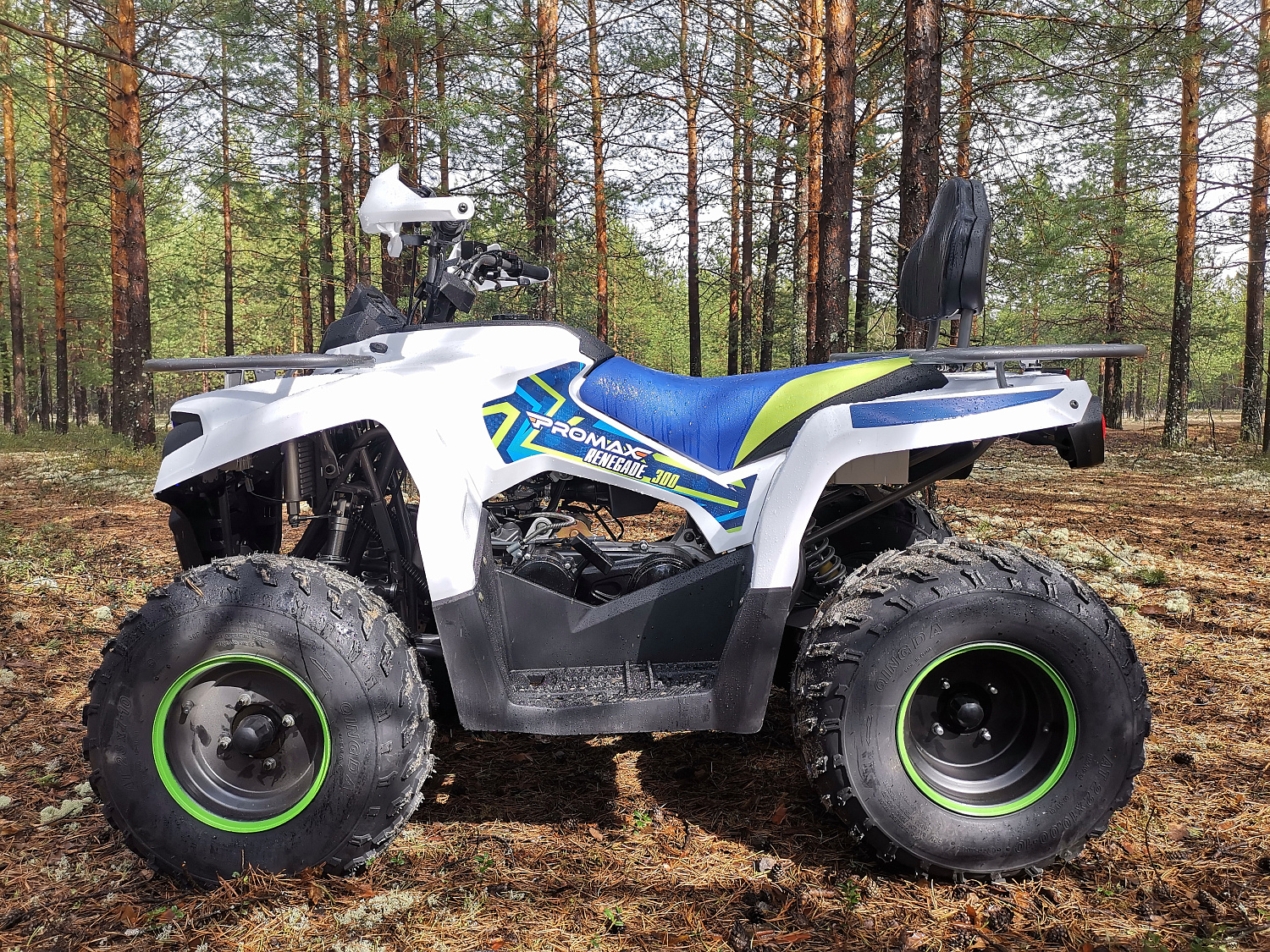 Квадроцикл PROMAX RENEGADE 280 (2025) в Находке