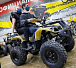 Квадроцикл PROMAX ATV 250 (2025) в Находке