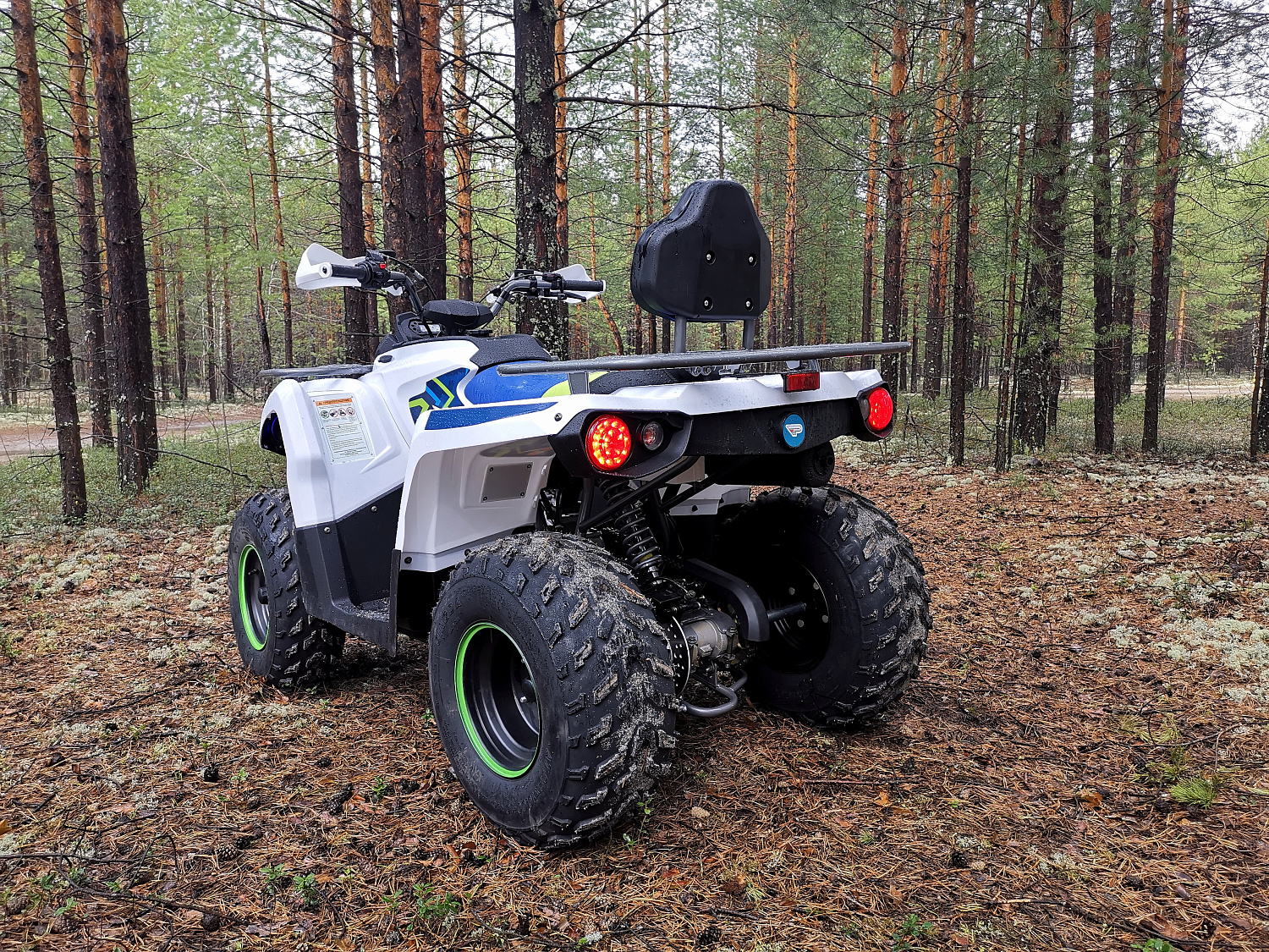 Квадроцикл PROMAX RENEGADE 280 (2025) в Находке