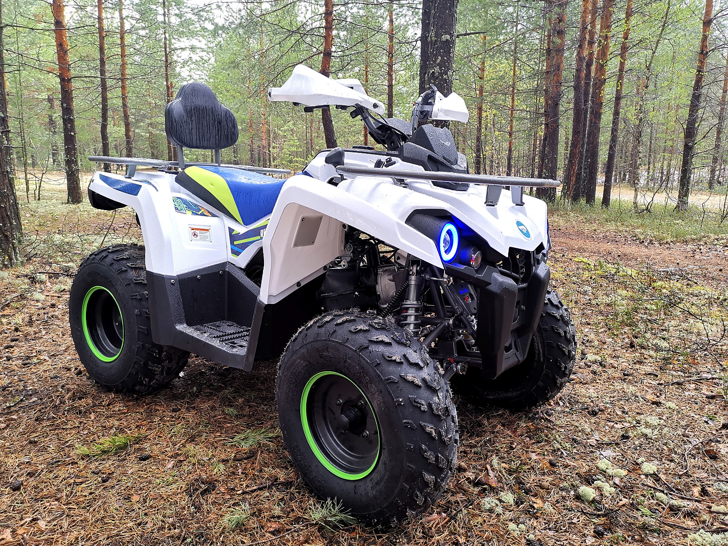 Квадроцикл PROMAX RENEGADE 280 (2025) в Находке