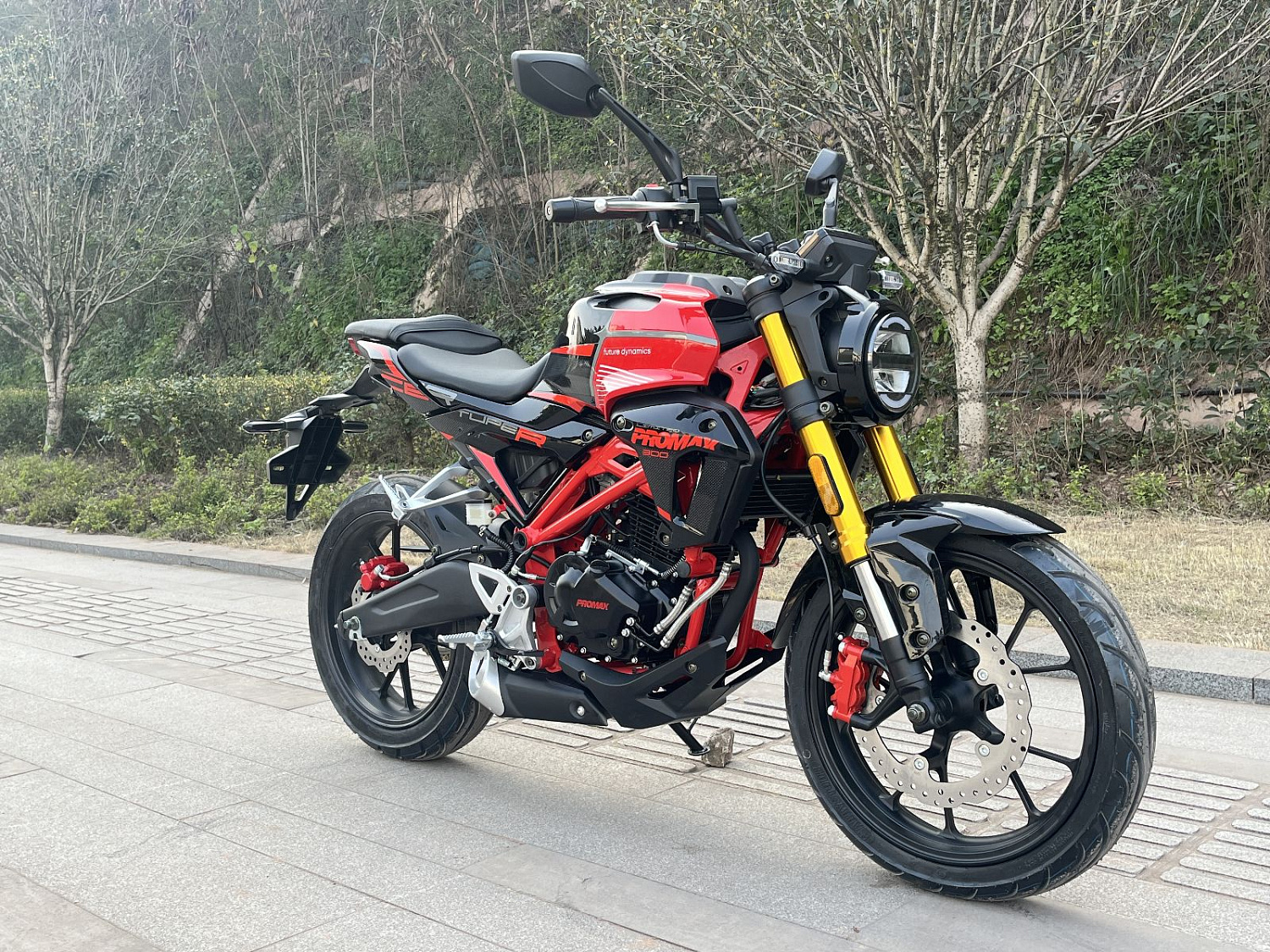 Мотоцикл PROMAX CB300 в Находке