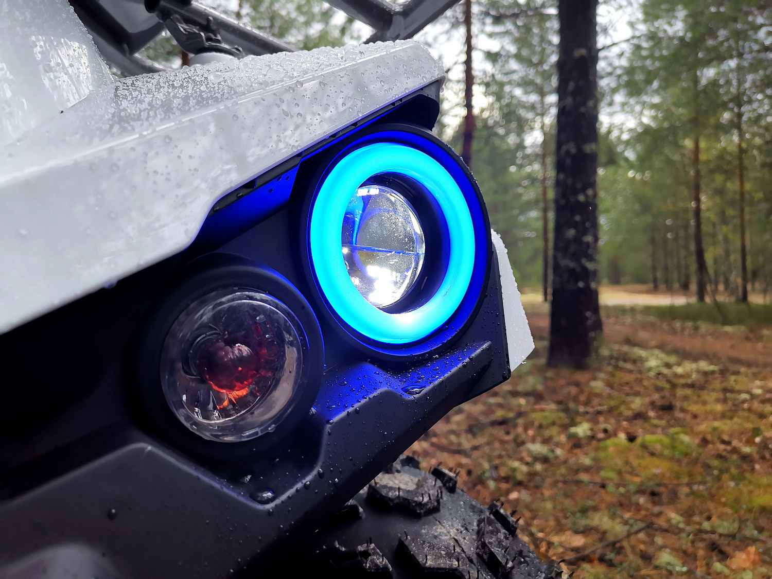 Квадроцикл PROMAX RENEGADE 280 (2025) в Находке