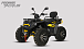 Квадроцикл PROMAX TAURUS 300 MAX-PRO LONG в Находке